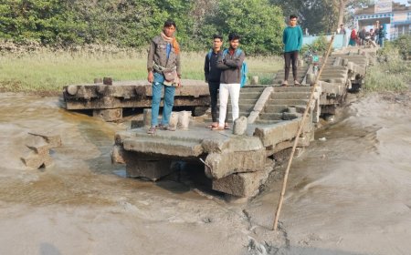 সুন্দরবনের রূপমারির গৌরেশ্বর নদীর ফেরিঘাট বেহাল, ফেরি চলাচল আপাতত বন্ধ