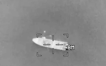 প্রশান্ত মহাসাগর এবং ক্যারিবিয়ান অঞ্চলে আমেরিকার অভিযান, মৃত ১১