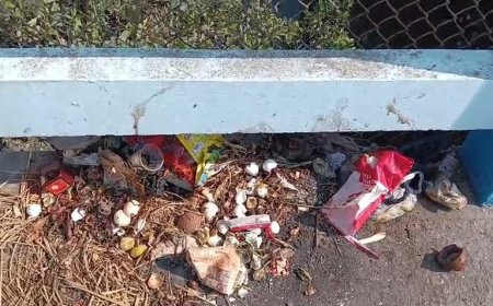 কাকদ্বীপের কালনাগিনী এখন ‘বিষ-নাগিনী’! দুর্গন্ধে নাভিশ্বাস শহরবাসীর*