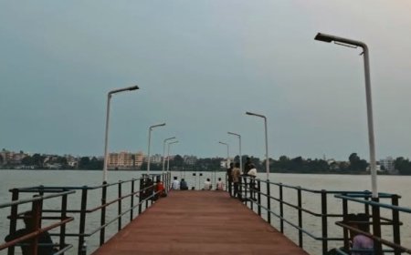 SIR-এর চাপে গঙ্গায় ঝাঁপ বিএলও-র, অল্পের জন্য রক্ষা