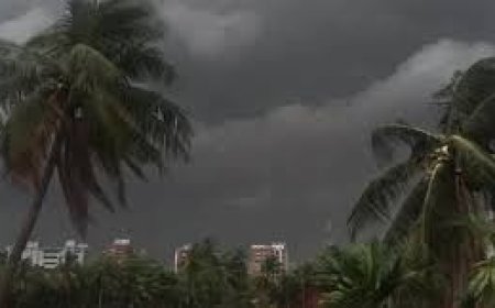 আগামী সপ্তাহে আবহাওয়ার বড় পালাবদল: বাড়বে তাপমাত্রা, তবু বৃষ্টিতে ভাসতে পারে একাধিক জেলা