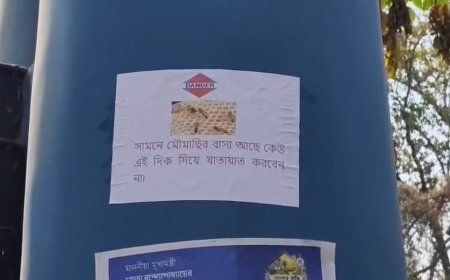 মৌমাছির আতঙ্কে বন্ধ ঝাড়গ্রাম মেডিক্যাল কলেজ হাসপাতালের আউটডোর গেট, আহত চিকিৎসক-রোগী