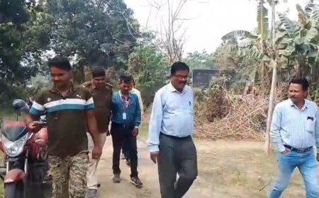 কল্যাণী বিশ্ববিদ্যালয়ের পরিত্যক্ত কোয়ার্টারের পাশে প্লাস্টিকের ব্যাগে ৬টি বোমা উদ্ধার, ঘটনাস্থল পরিদর্শনে কর্তৃপক্ষ