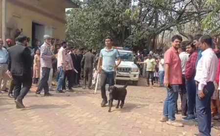 কলকাতা জেলায় ই-মেলে বোমা হুমকি, তোলপাড় সিটি সিভিল কোর্ট চত্বর— খালি করা হল সব এজলাস