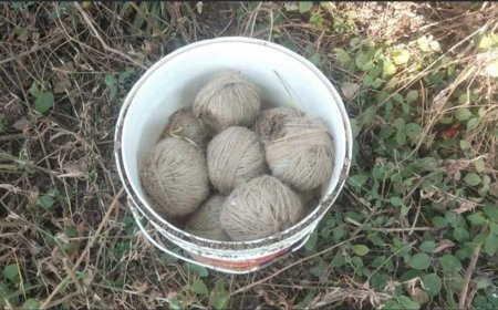 বীরভূমে ফের বোমা উদ্ধার, পাইকর থানার আমডোলে বালতি ভর্তি তাজা বোমা ঘিরে চাঞ্চল্য