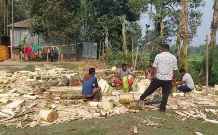 পলাশ-শিমুলের রঙে বসন্ত বন্দনা, ধূপগুড়িতে প্রথমবার বড় আয়োজনে ‘ত্যারেয়া ফেলা ও রাখালসেবা