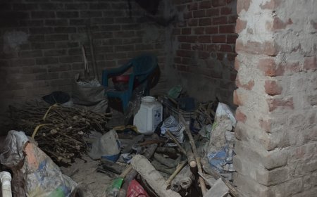 ভোটের আগে ভাঙরে বোমা আতঙ্ক, আইএসএফ কর্মীর বাড়ি থেকে ২৮টি তাজা বোমা ও বন্দুক উদ্ধার