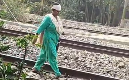 উত্তর ২৪ পরগনায় রক্ষণাবেক্ষণের টাকা নিয়ে প্রতিবেশীদের বচসা, ধুন্ধুমার পলতায় — দুই পক্ষের পাল্টা অভিযোগ