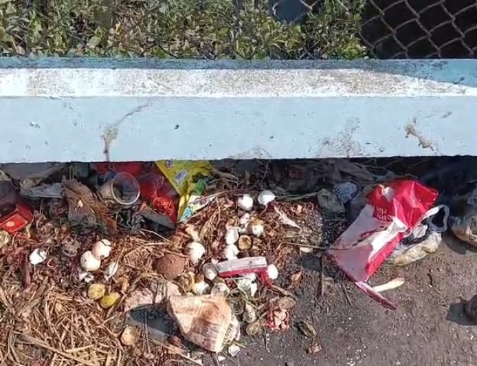 কাকদ্বীপের কালনাগিনী এখন ‘বিষ-নাগিনী’! দুর্গন্ধে নাভিশ্বাস শহরবাসীর*