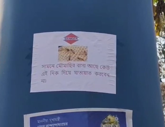 মৌমাছির আতঙ্কে বন্ধ ঝাড়গ্রাম মেডিক্যাল কলেজ হাসপাতালের আউটডোর গেট, আহত চিকিৎসক-রোগী