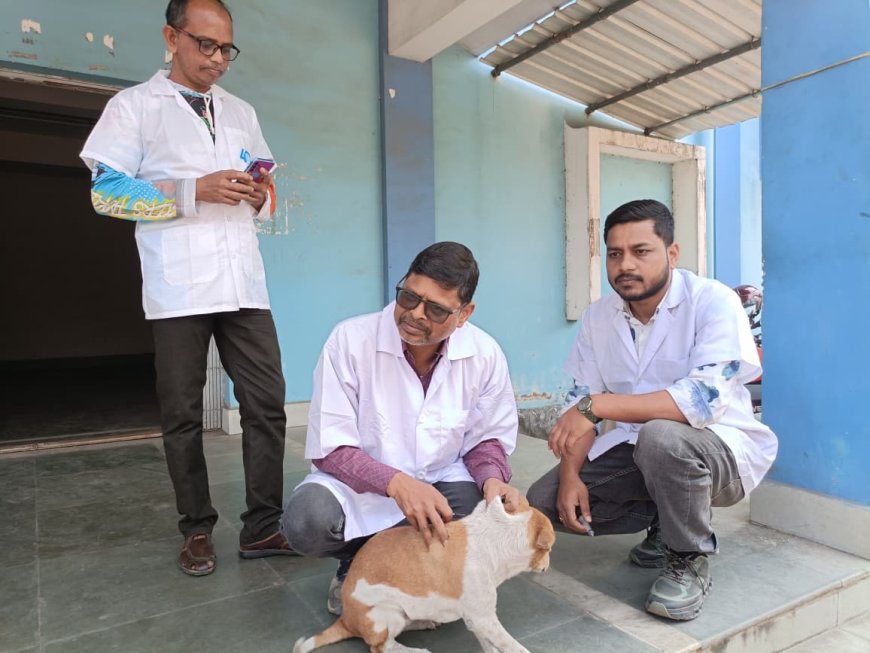 পথ পুকুর ও বিড়ালদের দেওয়া হল জলাতঙ্ক রোগের ভ্যাকসিন