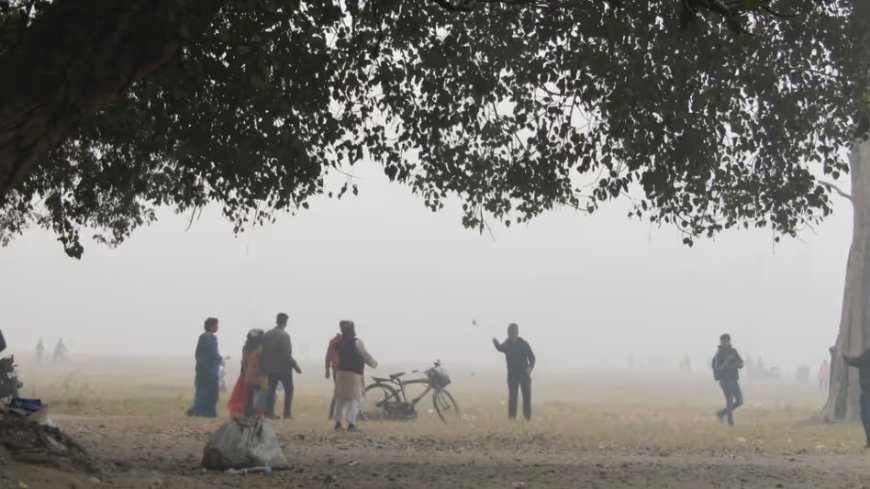 ফেব্রুয়ারিতেই ফ্যানের হাওয়া, ৩১ ডিগ্রির পথে পারদ! নিম্নচাপের জেরে কি ভিজবে রাজ্য?