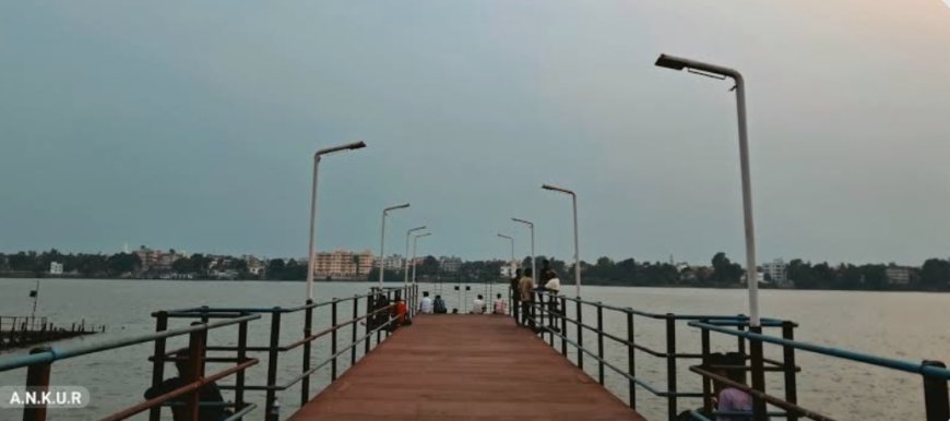 SIR-এর চাপে গঙ্গায় ঝাঁপ বিএলও-র, অল্পের জন্য রক্ষা