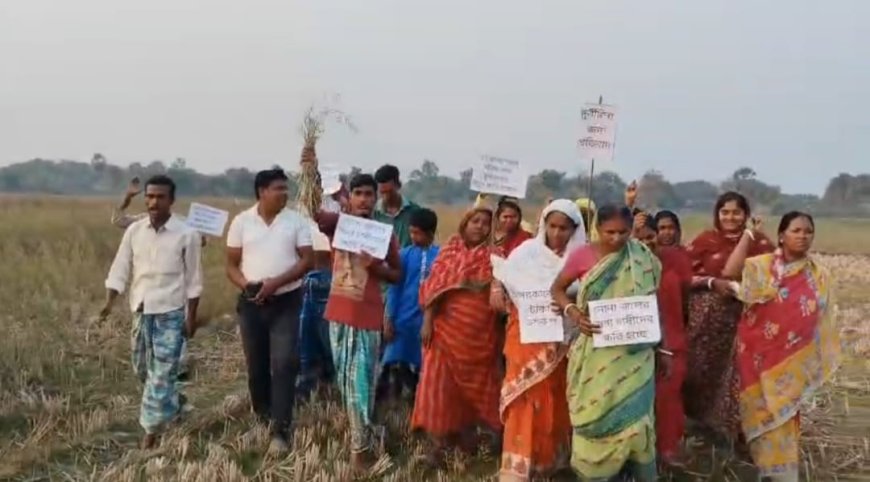 সুন্দরবনে নতুন আতঙ্ক: সুইচগেট ভেঙে নোনা জল ঢুকে সরিষা খেতে ব্যাপক ক্ষতি, বিক্ষোভ চাষিদের