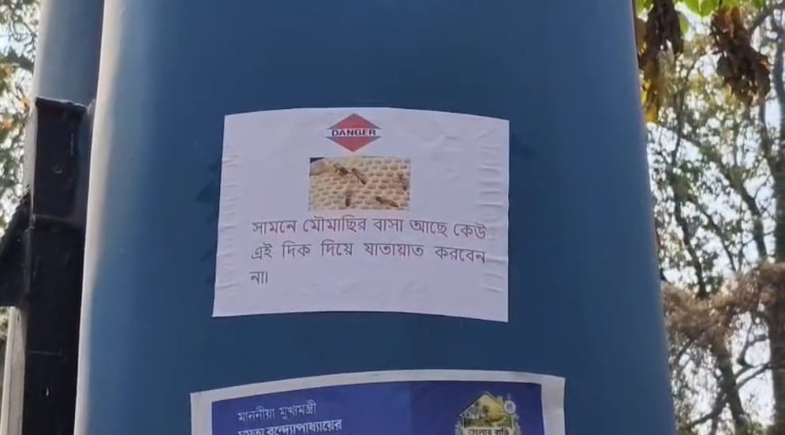 মৌমাছির আতঙ্কে বন্ধ ঝাড়গ্রাম মেডিক্যাল কলেজ হাসপাতালের আউটডোর গেট, আহত চিকিৎসক-রোগী