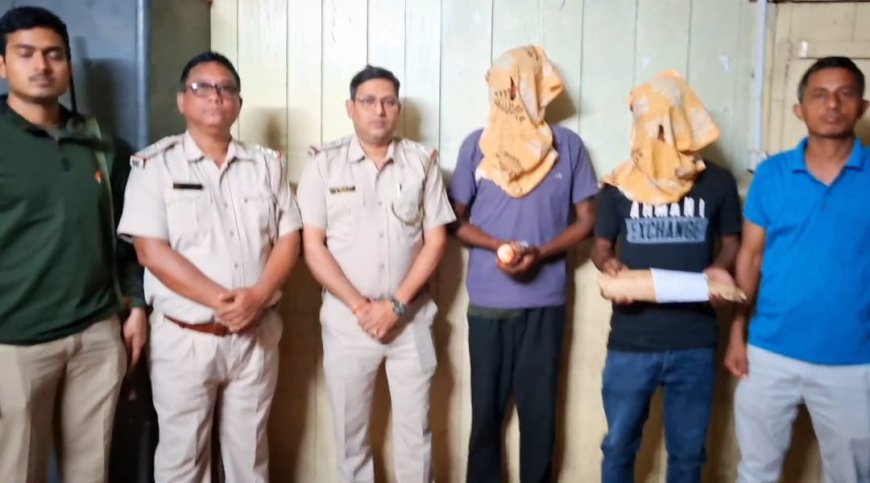 ভুটান সীমান্তে হাতির দাঁত পাচার রুখল বন দফতর, গ্রেফতার দুই