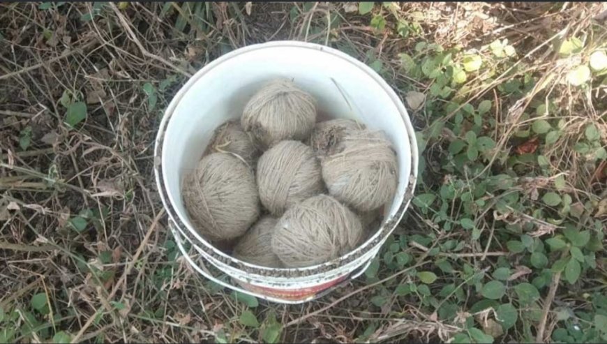 বীরভূমে ফের বোমা উদ্ধার, পাইকর থানার আমডোলে বালতি ভর্তি তাজা বোমা ঘিরে চাঞ্চল্য