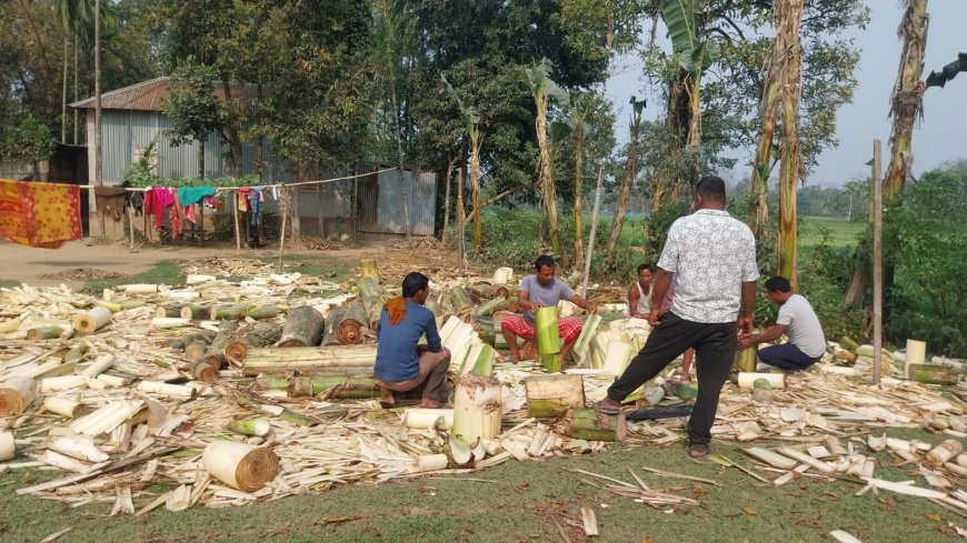 পলাশ-শিমুলের রঙে বসন্ত বন্দনা, ধূপগুড়িতে প্রথমবার বড় আয়োজনে ‘ত্যারেয়া ফেলা ও রাখালসেবা