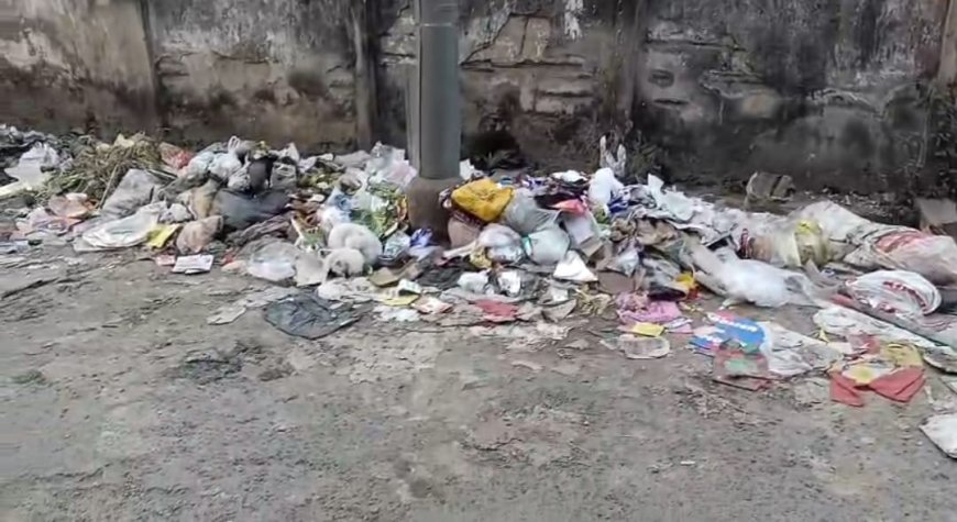 কামারহাটির দ্বৈপায়ন পল্লীতে বেহাল রাস্তা, নোংরার স্তূপে নাজেহাল বাসিন্দারা