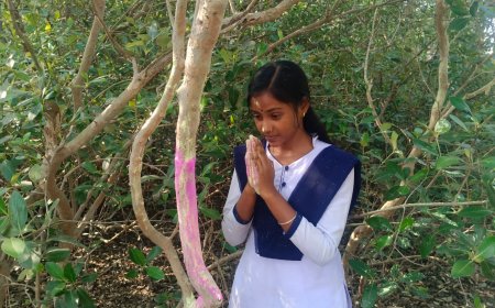 সুন্দরবন রক্ষায় মৌসুনিতে অভিনব ‘সবুজ হোলি