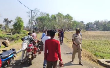 বাঁকুড়ার জয়পুরে দলছুট দাঁতালের তাণ্ডব, মৃত ১, আহত একাধিক; নাকাল বন দফতর