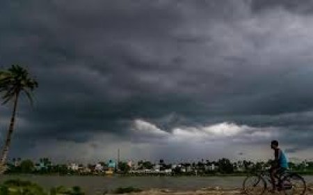 বসন্তেই ঝড়বৃষ্টির সম্ভাবনা, একাধিক জেলায় হলুদ সতর্কতা