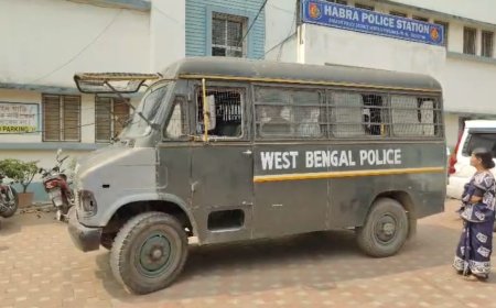 গাঁজাসহ গ্রেফতার তিন দুষ্কৃতী, উদ্ধার ২৬ কেজি মাদক