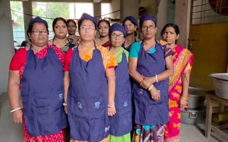 উত্তর ২৪ পরগনার বসিরহাটে এলপিজি সংকটে মিড ডে মিলের রান্না কাঠের জ্বালানিতে