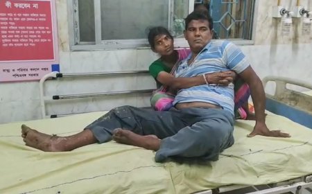 দক্ষিণ ২৪ পরগনার বারুইপুরে সাপের কামড়ে হাসপাতালে যাওয়ার পথে বাইক দুর্ঘটনা, গুরুতর কৃষক