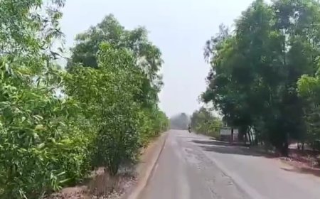 ঝাড়গ্রামের কলাইকুন্ডায় হাতির আতঙ্কে অন্ধকার গ্রাম, ‘গ্লো উইথ ফরেস্ট’ প্রকল্পে ৪০টি বাড়িতে আলো বনদপ্তরের