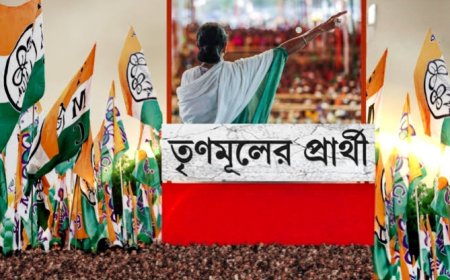 তৃণমূলের প্রার্থী তালিকা প্রকাশ, দেখে নিন এক নজরে