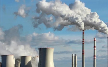 ৯০ দিনের জ্বালানি মজুত রাখুক সরকার, কেন্দ্রকে পরামর্শ সংসদীয় কমিটির