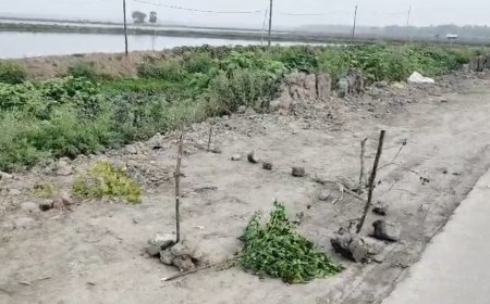 রক্তাক্ত যুবকের দেহ উদ্ধার, ধারালো অস্ত্রের কোপের চিহ্নে চাঞ্চল্য মিনাখায়