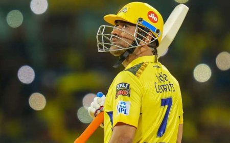 হলুদ জার্সিতে এটাই হতে পারে ধোনির শেষ মরশুম, দাবি উথাপ্পার