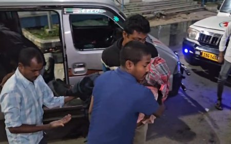 সুন্দরবনে বাঘের হামলা, সঙ্গীদের তৎপরতায় অল্পের জন্য প্রাণে বাঁচলেন মৎস্যজীবী—আশঙ্কাজনক অবস্থায় হাসপাতালে চিকিৎসাধীন