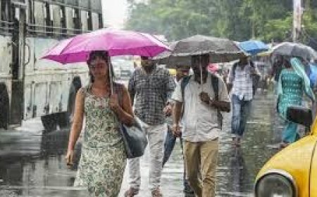 বসন্তে ঝড়বৃষ্টির দাপট, তাপমাত্রা কমে স্বস্তি, সপ্তাহজুড়ে বদলে যাবে আবহাওয়ার মেজাজ