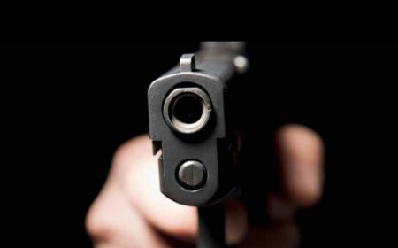 অস্ত্রসহ দাগী দুষ্কৃতী গ্রেফতার বারুইপুরে, উদ্ধার ওয়ান শাটার বন্দুক