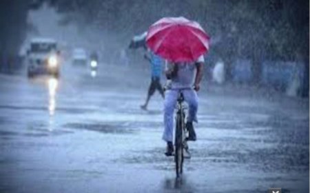 শুক্র থেকেই বাড়বে ঝড়-বৃষ্টি, সতর্কতা দক্ষিণবঙ্গের একাধিক জেলায়