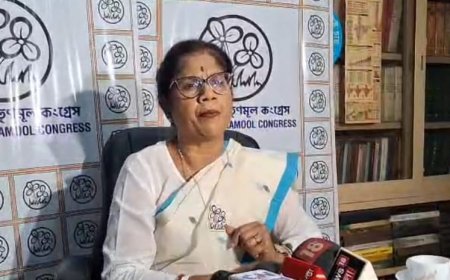 ভোটার তালিকা থেকে বিজেপির  চার্জশিট-একাধিক ইস্যুতে সরব শশী পাঁজা