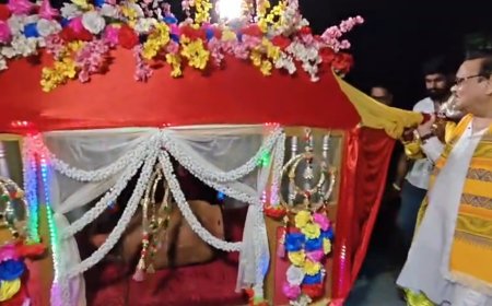 কামারহাটিতে গ্যাস সিলিন্ডার 'বউ' সাজিয়ে পালকিতে প্রচার, অভিনব উদ্যোগ মদন মিত্রের