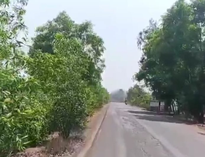 ঝাড়গ্রামের কলাইকুন্ডায় হাতির আতঙ্কে অন্ধকার গ্রাম, ‘গ্লো উইথ ফরেস্ট’ প্রকল্পে ৪০টি বাড়িতে আলো বনদপ্তরের