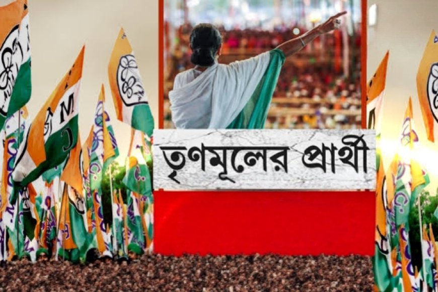 তৃণমূলের প্রার্থী তালিকা প্রকাশ, দেখে নিন এক নজরে