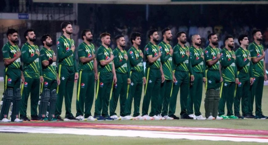 ২৪ বছরেই অবসর পাক ক্রিকেটারের