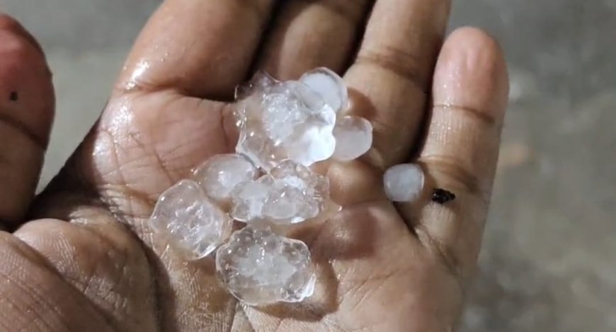 জলপাইগুড়ির বানারহাটে ফাল্গুনের শেষেই কালবৈশাখীর তাণ্ডব, লণ্ডভণ্ড জনজীবন