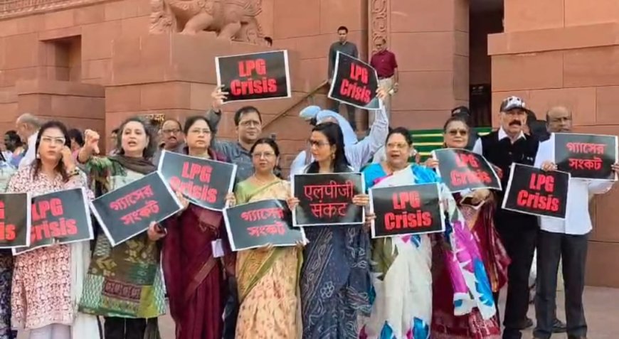 নয়াদিল্লির সংসদ ভবনের বাইরে রান্নার গ্যাস ইস্যুতে তৃণমূল মহিলা সাংসদদের বিক্ষোভ