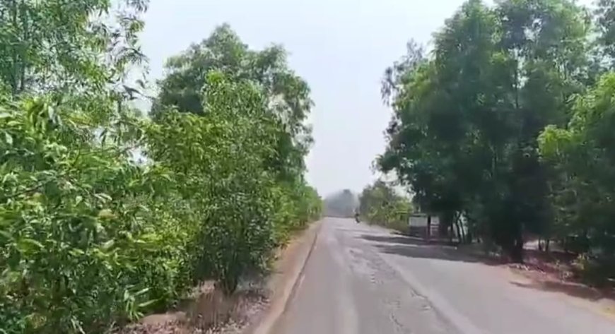 ঝাড়গ্রামের কলাইকুন্ডায় হাতির আতঙ্কে অন্ধকার গ্রাম, ‘গ্লো উইথ ফরেস্ট’ প্রকল্পে ৪০টি বাড়িতে আলো বনদপ্তরের