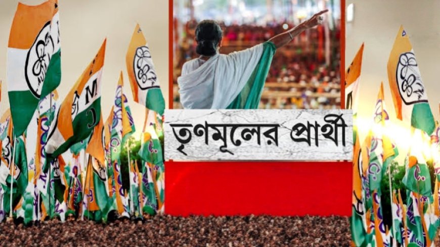 তৃণমূলের প্রার্থী তালিকা প্রকাশ, দেখে নিন এক নজরে