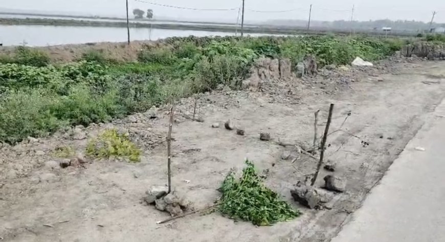 রক্তাক্ত যুবকের দেহ উদ্ধার, ধারালো অস্ত্রের কোপের চিহ্নে চাঞ্চল্য মিনাখায়