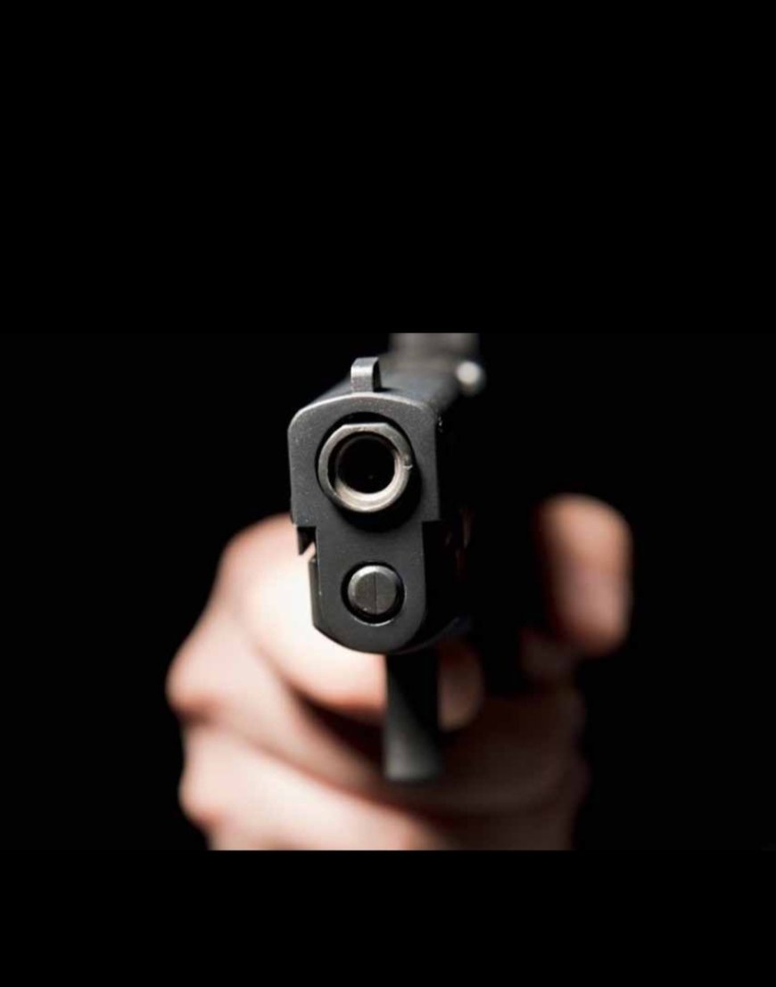 অস্ত্রসহ দাগী দুষ্কৃতী গ্রেফতার বারুইপুরে, উদ্ধার ওয়ান শাটার বন্দুক