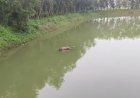 ঘাটালে পুকুরে ভাসমান দেহ উদ্ধার, চাঞ্চল্য এলাকায়